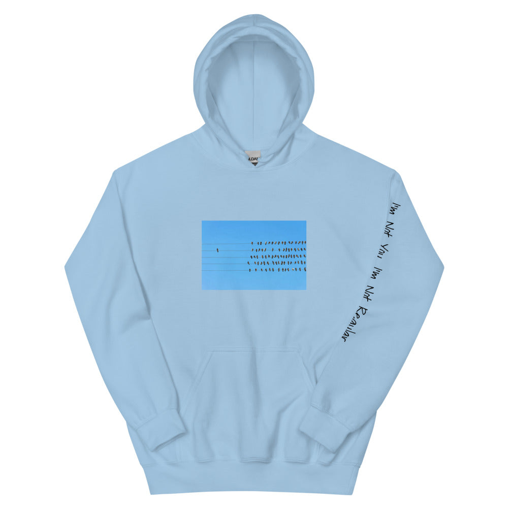 Not Regular "StandAlone" Hoodie