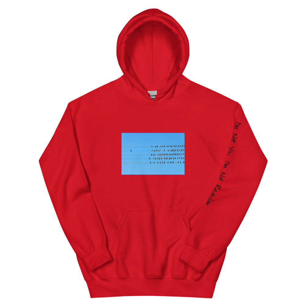 Not Regular "StandAlone" Hoodie