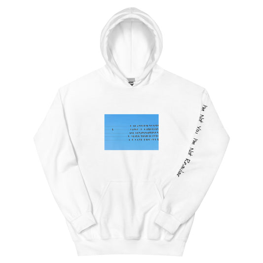 Not Regular "StandAlone" Hoodie